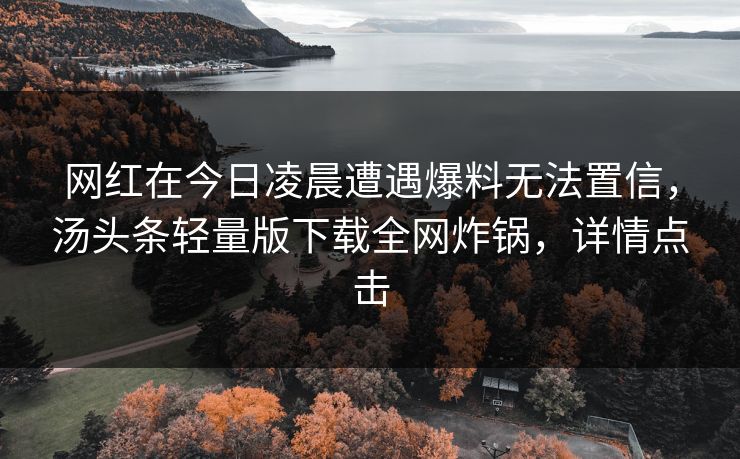 网红在今日凌晨遭遇爆料无法置信，汤头条轻量版下载全网炸锅，详情点击