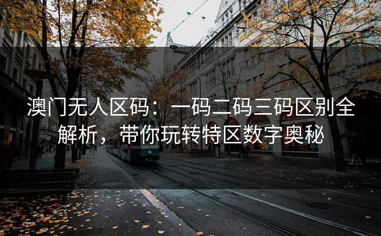 澳门无人区码:一码二码三码区别全解析,带你玩转特区数字奥秘 澳门无人区码:一码二码三码区别全解析,带你玩转特区数字奥秘
